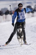 Lenk 2013